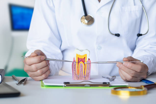 Best Emergency Dental Care for Broken or Chipped Teeth in Malden, MO